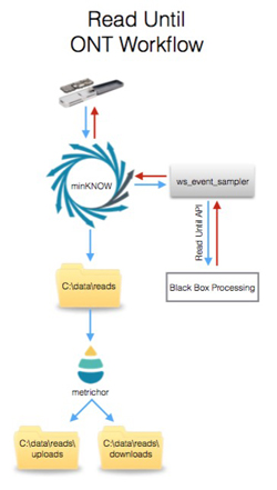 An image illustrating the ONT Read Until Workflow