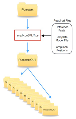 An image illustrating the ampliconSPLIT Workflow