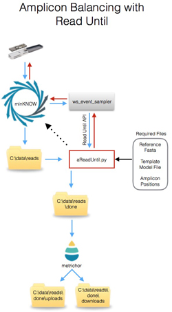 An image showing the live amplicon balancing workflow