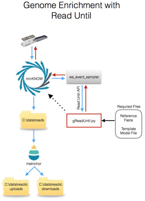 An image showing the live gReadUntil ONT workflow