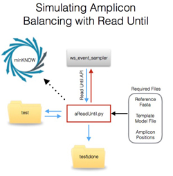 An image showing the simulated amplicon balancing workflow