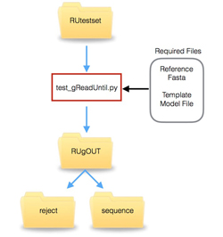 An image illustrating the test_gReadUntil Workflow